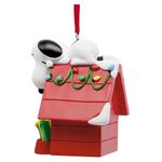 000000000075342315-UN-02