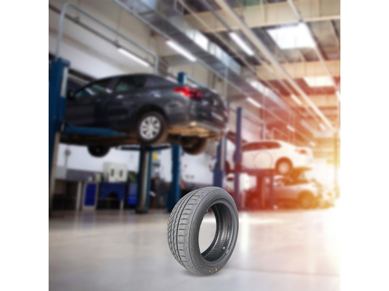 000000000075398243-UN-03