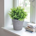 000000000075341630-UN-10