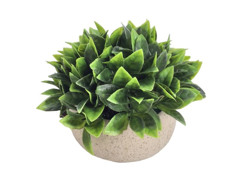 000000000075341629-UN-01