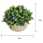 000000000075341629-UN-03