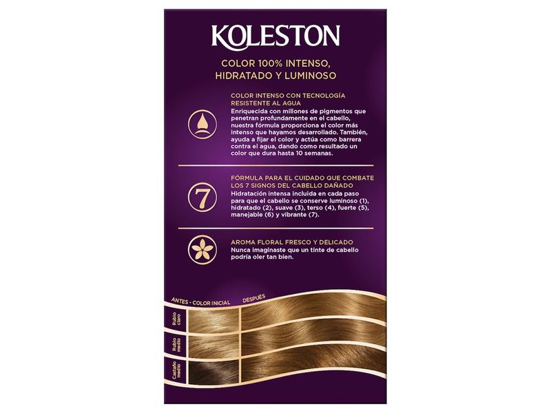 000000000070448650-UN-03