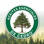 000000000075378288-UN-02