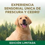 000000000075378288-UN-03