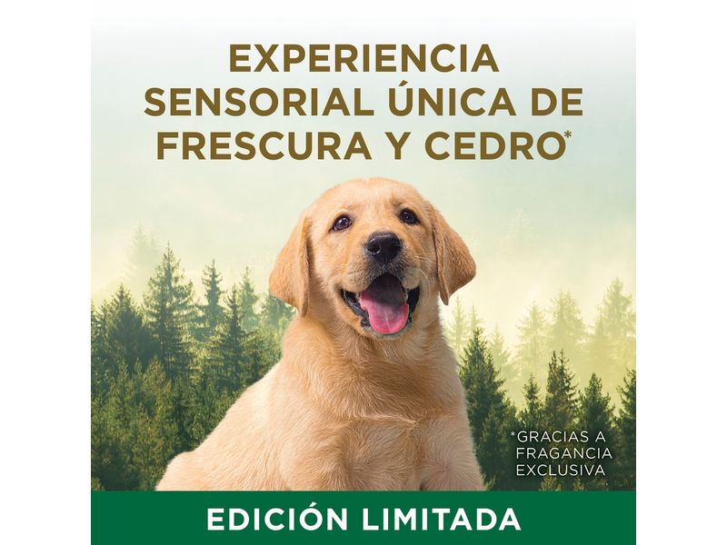 000000000075378288-UN-03