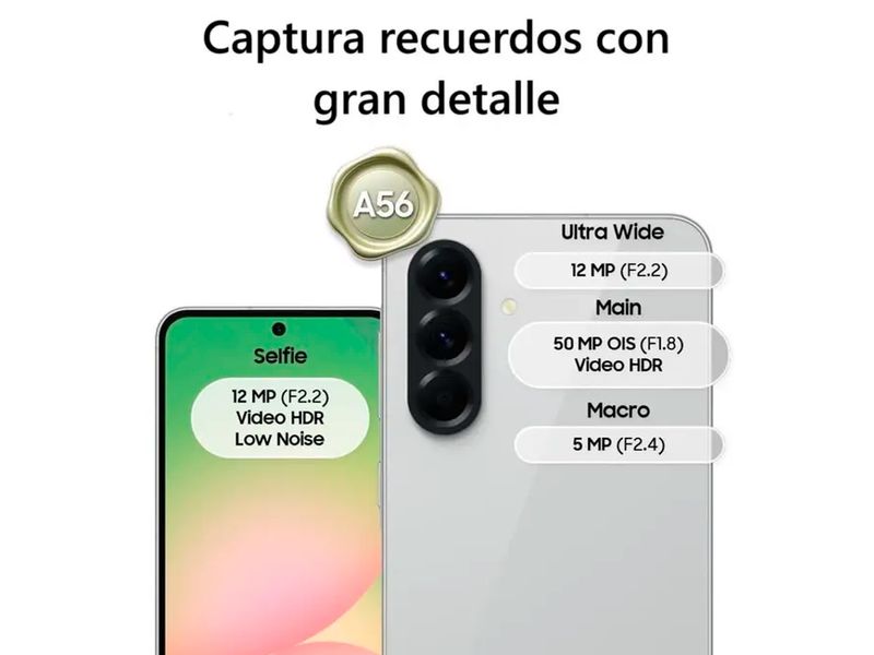 000000000075398517-UN-06
