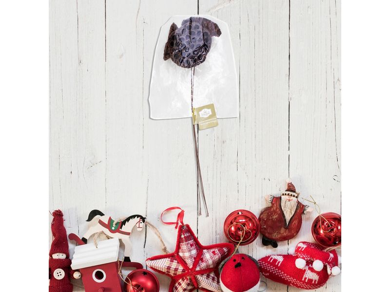 000000000075318535-UN-04