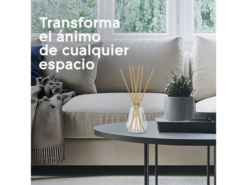 000000000070162887-UN-06