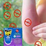 000000000070031620-UN-06