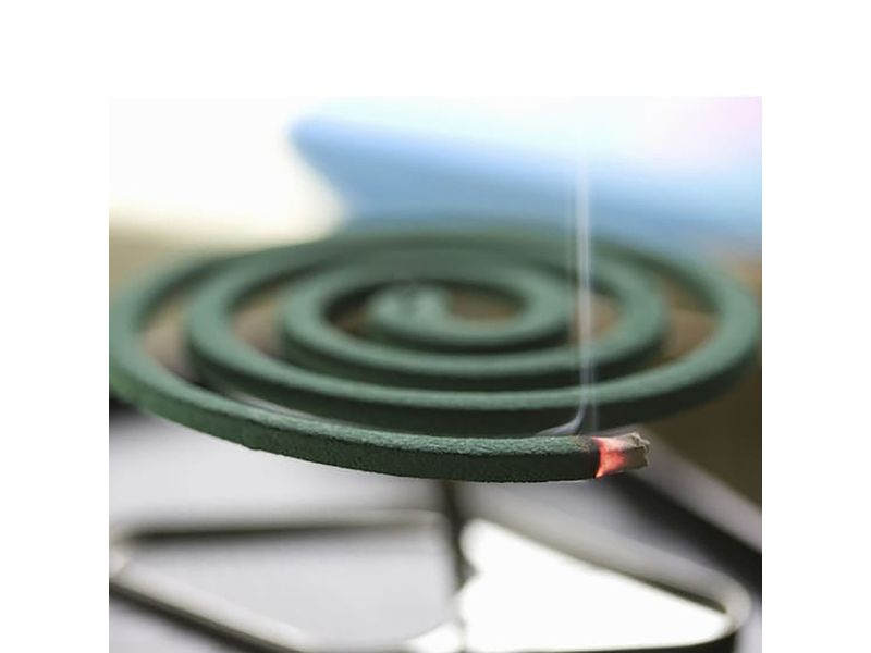 000000000070031500-UN-06