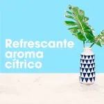 2025-02-26T21:20:42.479Z