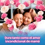 000000000070350542-UN-07