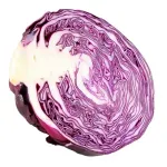 000000000070154516-UN-02