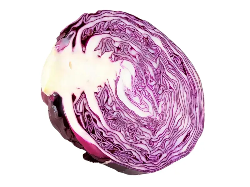 000000000070154516-UN-02