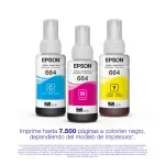 000000000075413247-UN-02