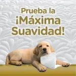 000000000070192858-UN-02