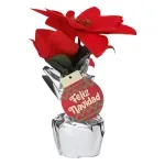 000000000070307064-UN-01