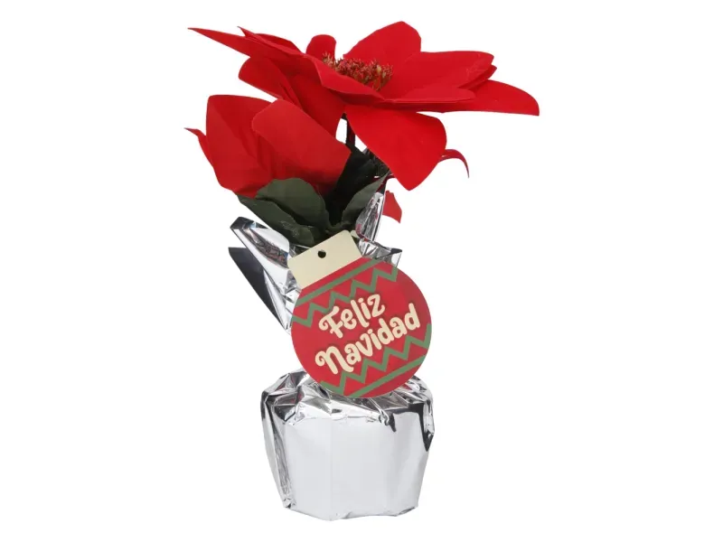 000000000070307064-UN-01