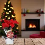 000000000070307064-UN-02