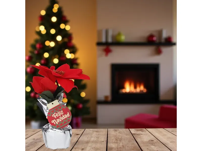 000000000070307064-UN-02