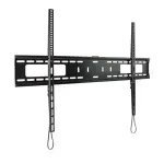 000000000075259132-UN-02