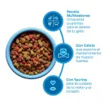 000000000075035427-UN-03