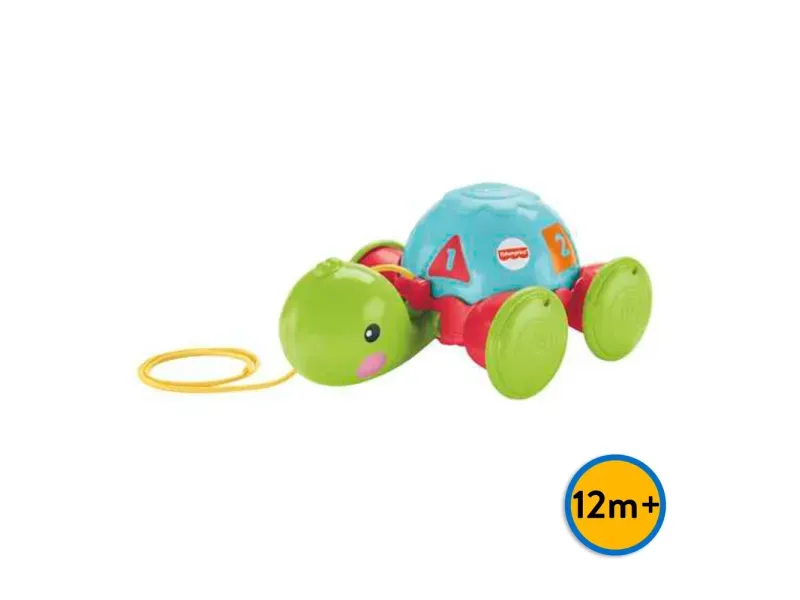 000000000070245894-UN-02