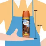 000000000070342060-UN-04