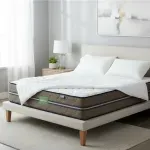 000000000075421432-UN-07