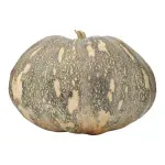 000000000075199038-UN-01