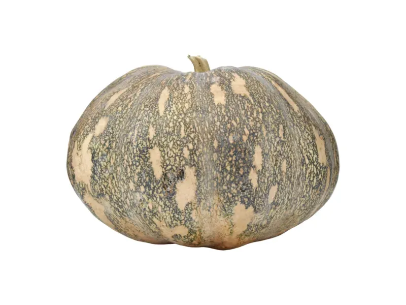 000000000075199038-UN-01