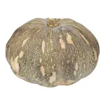 000000000075199038-UN-02