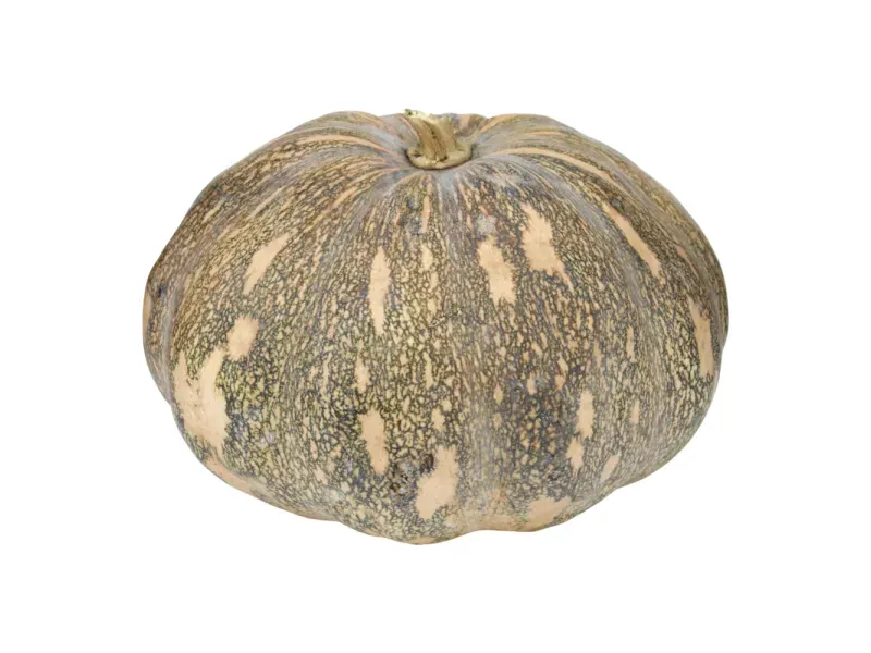 000000000075199038-UN-02