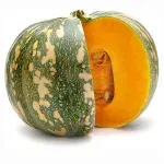 000000000075199038-UN-03