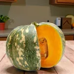 000000000075199038-UN-04