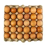 000000000075266522-KG-01