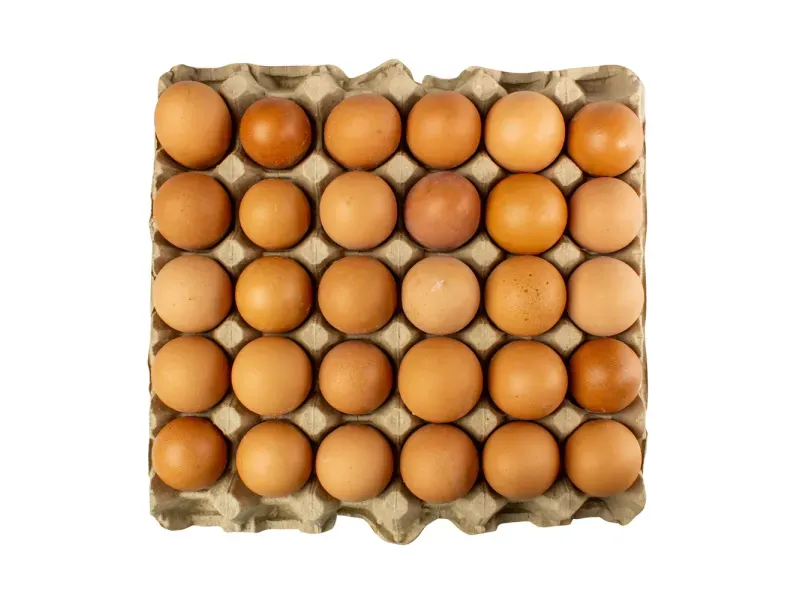 000000000075266522-KG-01