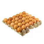 000000000075266522-KG-02