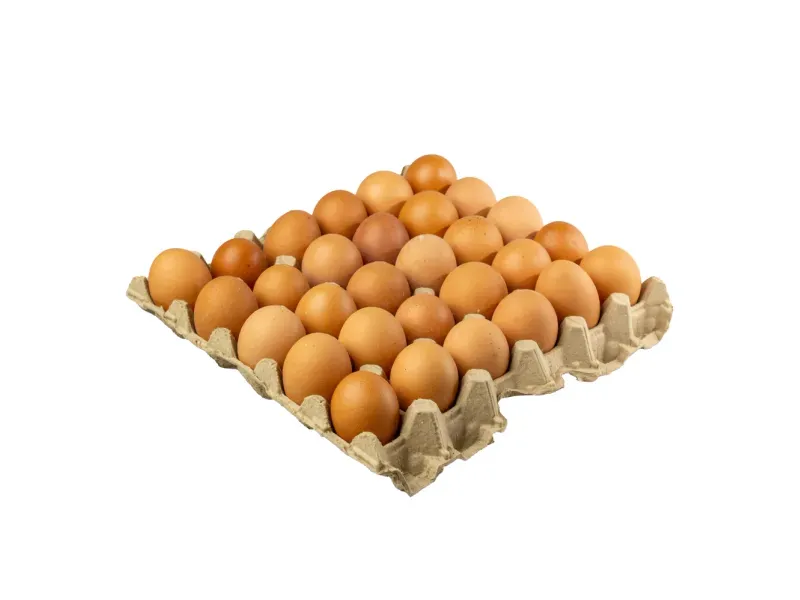 000000000075266522-KG-02