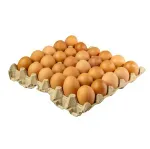 000000000075266522-KG-03