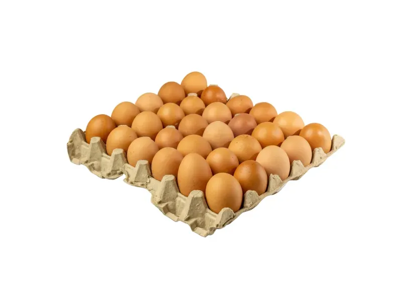 000000000075266522-KG-03