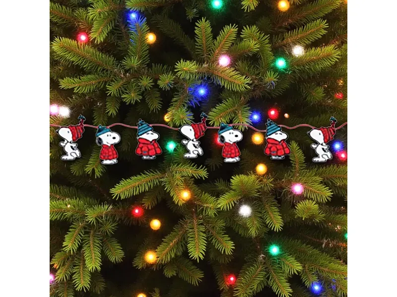 000000000075318645-UN-02