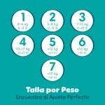 000000000075341221-UN-08