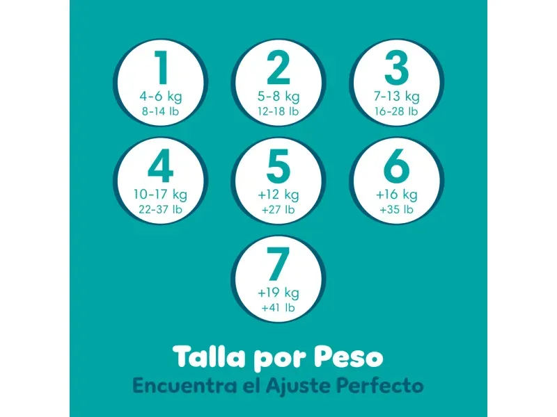 000000000075341221-UN-08