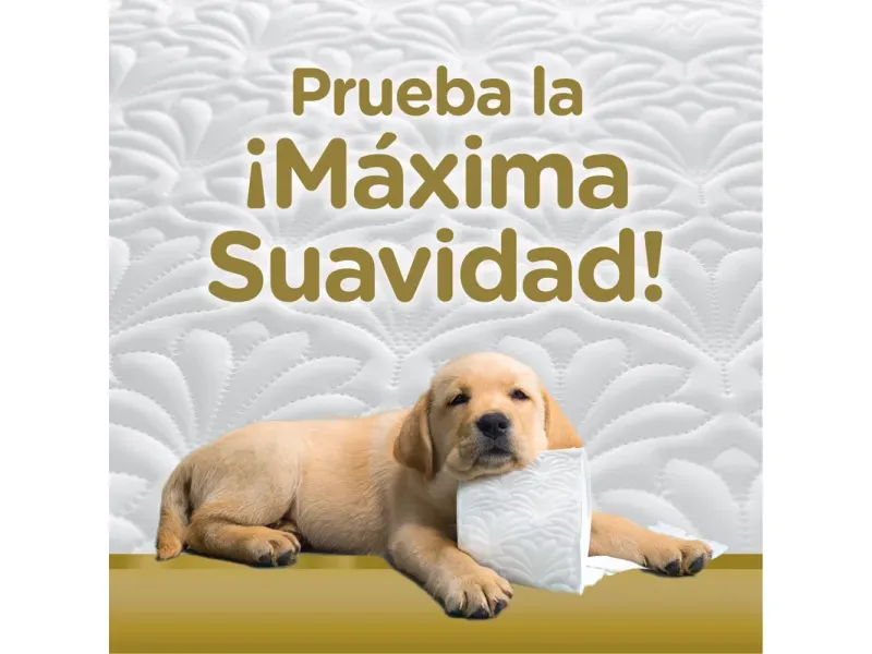 000000000075228656-UN-02