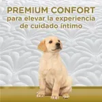 000000000075228656-UN-03