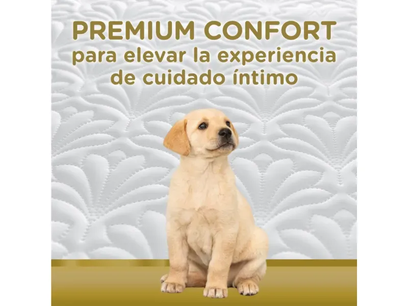 000000000075228656-UN-03