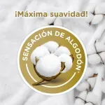 000000000075228656-UN-04