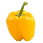 000000000070233363-UN-02