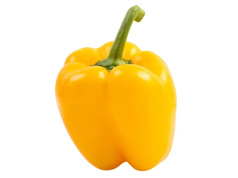 000000000070233363-UN-02